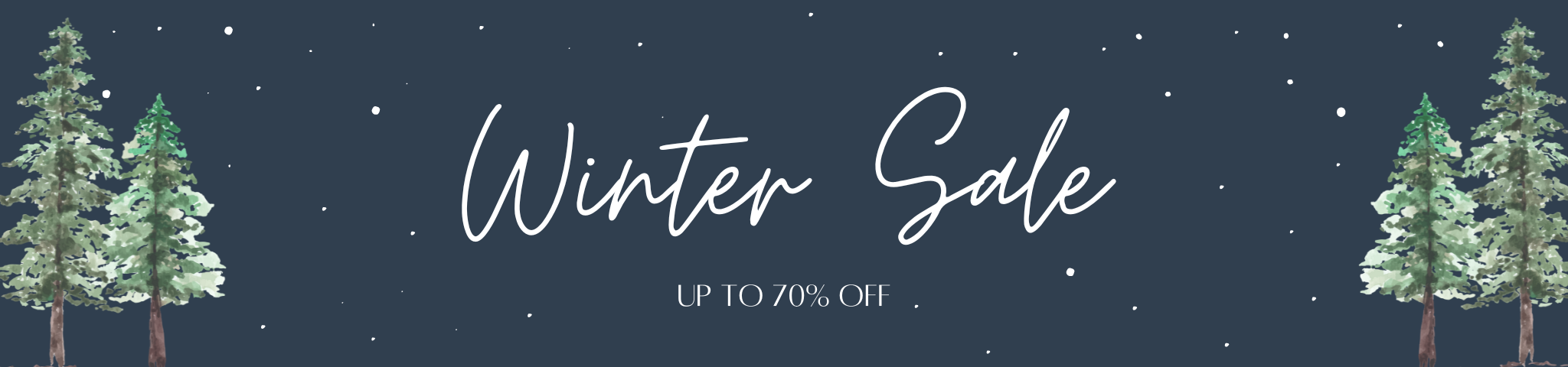 Winter Sale Desktop Banner