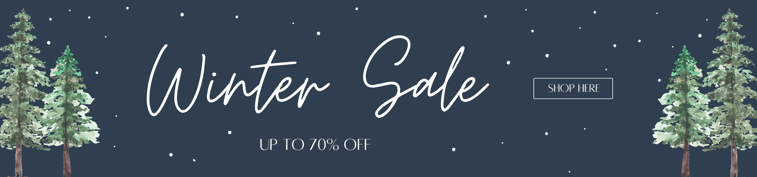 Winter Sale Homepage Desktop